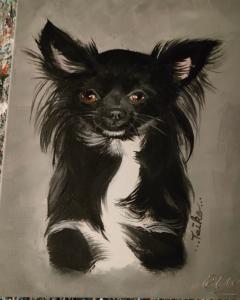 Portrait Chien Portrait Chien